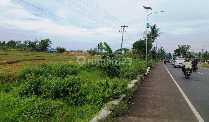 Dijual Tanah Murah Pinggir Jalan Trans Sumatera Lampung  2