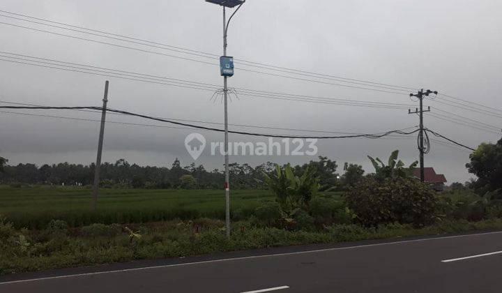 Dijual Tanah Murah Pinggir Jalan Trans Sumatera Lampung  2