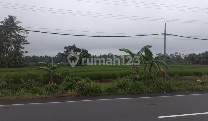 For Sale, Affordable Land by Trans Sumatera Road, Lampung