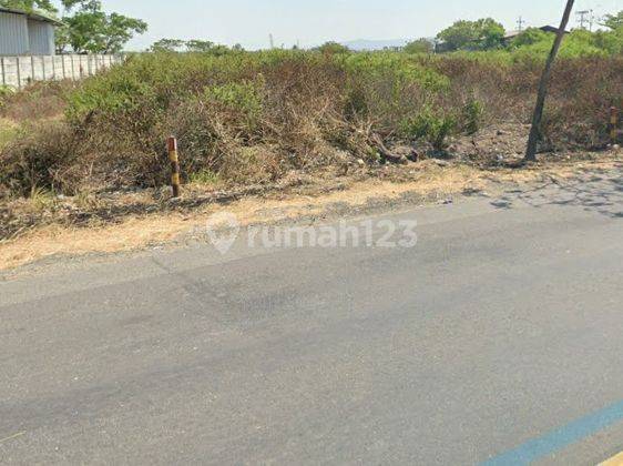 Tanah Industri Tuban Nol Jalan Raya Provinsi Pantura 1