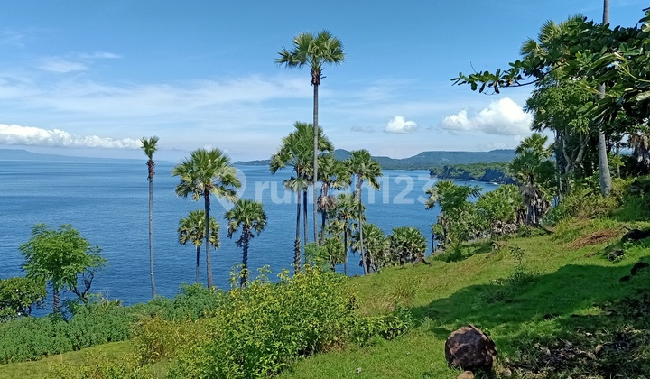 Land beach front 1