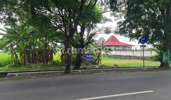 Strategic land by the side of the new Solo road.