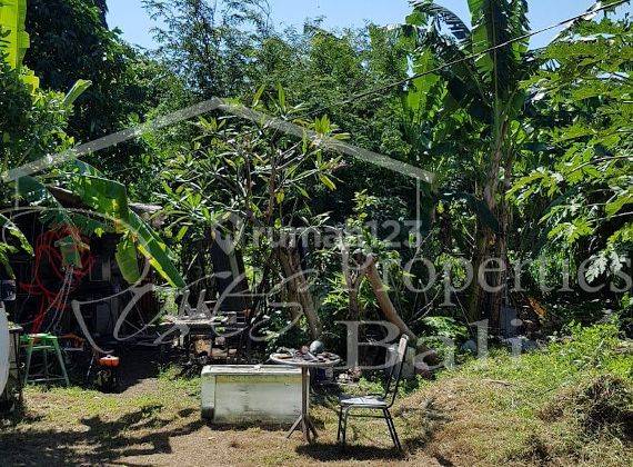 700m2 Land for Lease in Peaceful Location - Sanur 1