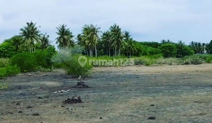 Tanah di Gili Gede, Dekat Pantai 1