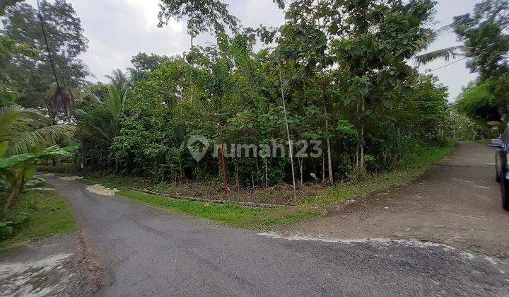 Tanah Cocok Untuk Perumahan di Area Sedayu Selatan Rewulu 1