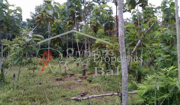 Covid19 Offer - Excellent River Side 2995m2 Land in Tegalallang Taro (Ubud) 2