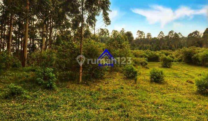 Dijual Tanah Sebelah Dusun Bambu Lembang 2