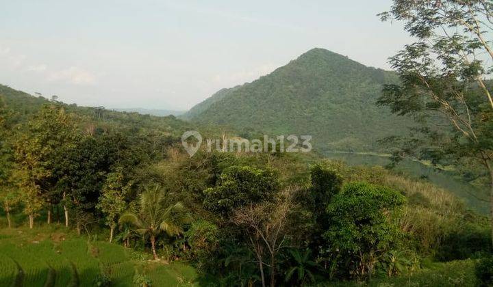 Tanah Kebun Luas Cocok Utk Pabrik atau Usaha Peternakan Perkebunan Di Purwakarta 1