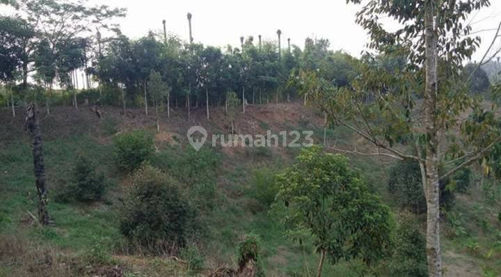 Tanah Ladang Limau Mungkur Dusun Batuk Tah Tanjung Morawa -T-0072 1