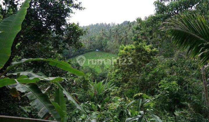 Tanah View Sungai Dan Jungle Dekat Bali Eco Stay 2