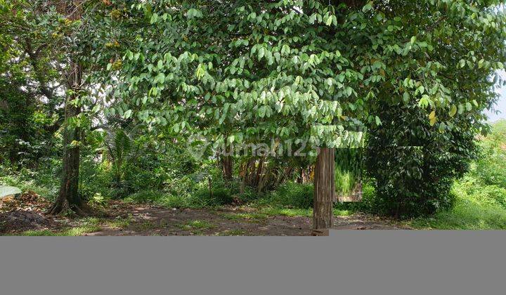 KAVLING SIAP BANGUN HANYA 800M DARI PINTU TOL CIJAGO DI AREA KUKUSAN BEJI DEPOK 2