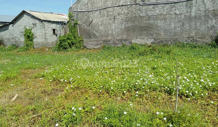 Tanah Kavling View Sawah Di Tukad Balian Siap Bangun 2