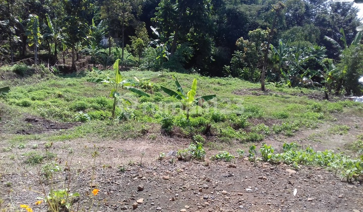 Beli Tanah Bonus Rumah di Nyatnyono 1