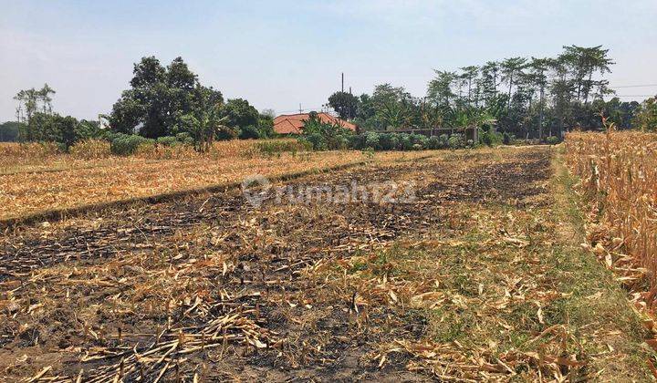 Tanah Murah Di Poros Jalan Raya Malang Pasuruan Dekat Pabrik Pocari Sweat.. Cocok Untuk Di Bangun Pabrik,  Gudang Juga SPBU... 1