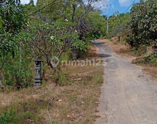 hilly location with sea view 1