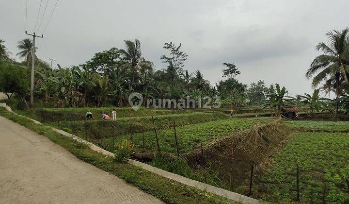 Tanah Sawah/Kebun di Ligarmukti Klapanunggal Bogor 1