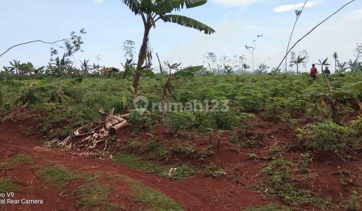 Lahan Industri siap bangun di batang jawa tengah 2