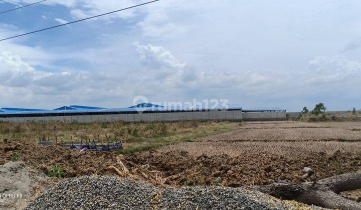 Lahan industri di Rembang Jawa Tengah 1