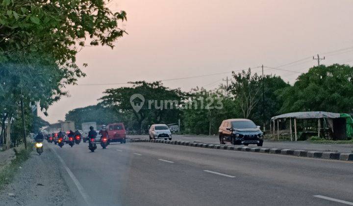 Lahan industri di Rembang Jawa Tengah 2