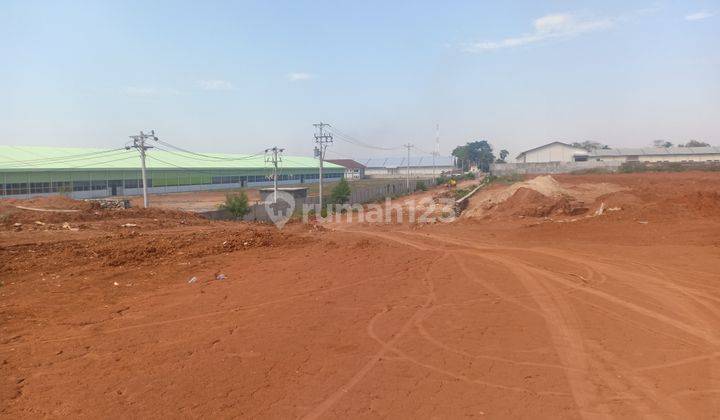 Lahan Industri Murah Siap Bangun di Mayong Jepara Jawa Tengah 2