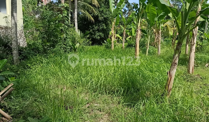 The land is suitable for a house with wide road access The land is suitable for a house with wide road access