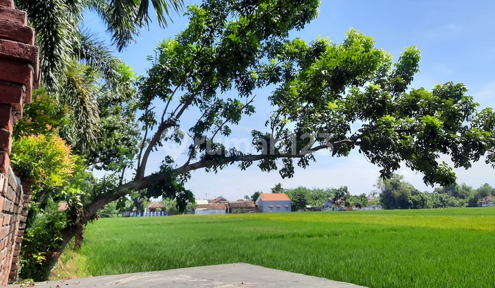 Tanah Raya Kraksan Probolinggo