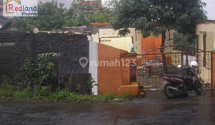 tanah daerah atas papandayan sangat bagus lingkungan dan view nya. 2