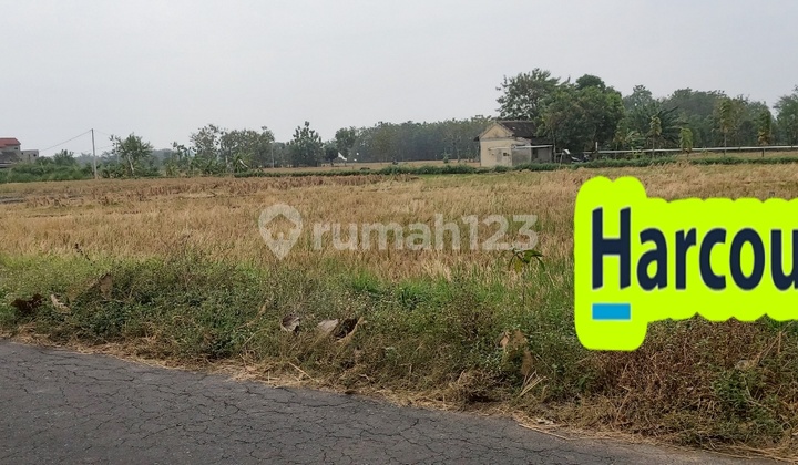 Cheap yard land in the center of Karanganyar city. Cheap yard land in the center of Karanganyar city.