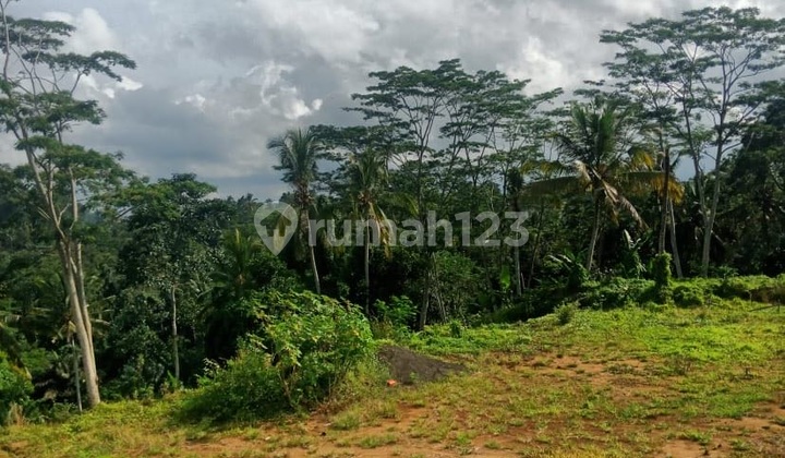 Tanah Super View Sawah Lembah dan Sungai Wos Dkt Alilla Hotel dan Hanging Garden Tanah Super View Sawah Lembah dan Sungai Wos Dkt Alilla Hotel dan Hanging Garden