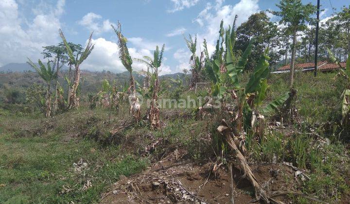 tanah di lokasi strategis di karangpawitan  kabupaten garut 2