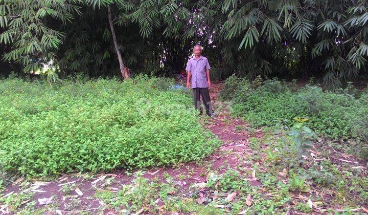 Tanah Di Ciketing Bekasi Shm Ex  Kebun Buah Dekat Area Bisnis  2