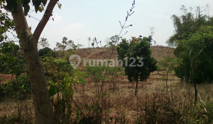 (ags cms) Tanah Di Ujung Berung Untuk Perumahan (ags cms) Tanah Di Ujung Berung Untuk Perumahan