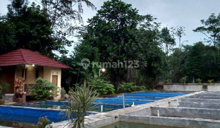 TANAH BESERTA BANGUNANNYA DI CIBETENG  BELAKANG TELAGA KAHURIPAN , Parung Bogor 2