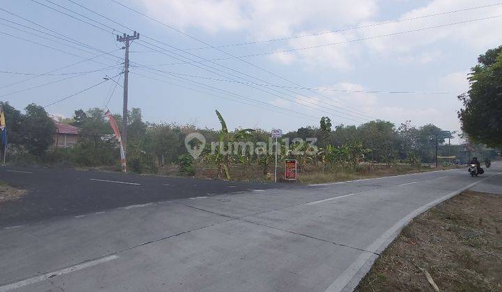 Tanah pekarangan pinggir jalan raya plupuh sragen 2