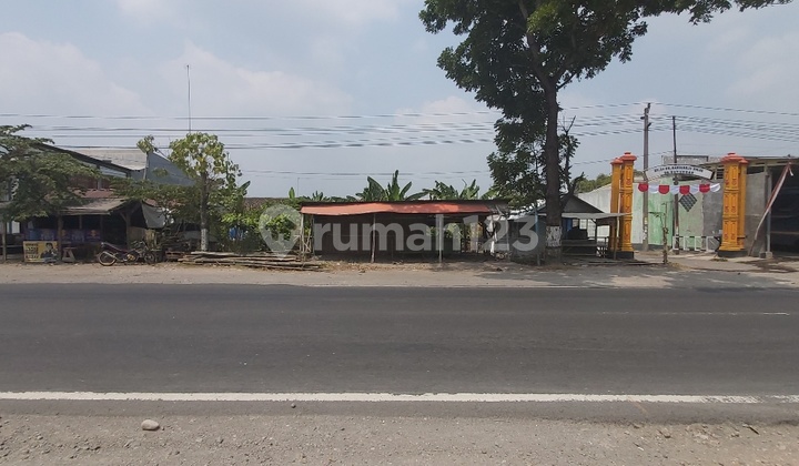 Strategic Land on the Side of Solo-Sragen Main Road