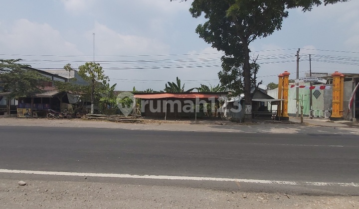 Strategic Land on the Side of Solo-Sragen Main Road