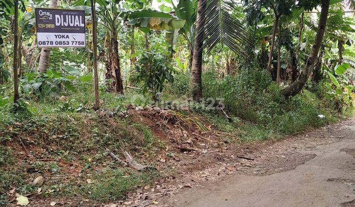 Tanah Kebun Cinangka Ds. Bulakan Turun Harga 1