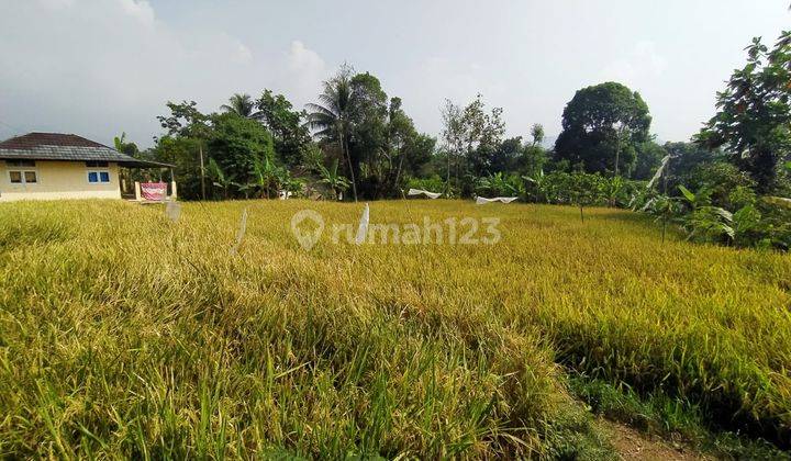 Tanah Sawah, Pusat Kota Cianjur 2