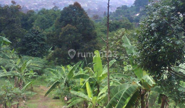 Jual Tanah Dago View Bagus Dekat Citra Green Dan Punclut 2