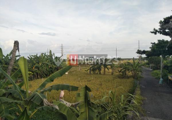 Tanah Lokasi Strategis Cocok untuk VillaHotel di Jl. Prof Ida Bagus Mantra Kesiman Kertalangu