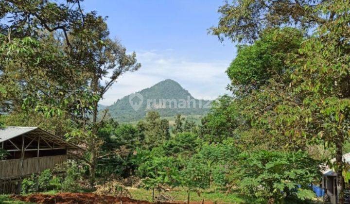 TANAH LAHAN PETERNAKAN DAN PERKEBUNAN ASRI DI TANJUNGSARI BOGOR 1