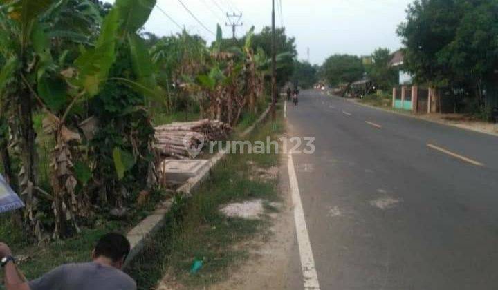 Tanah Citereup Pandeglang Multifungsi Nepis 2