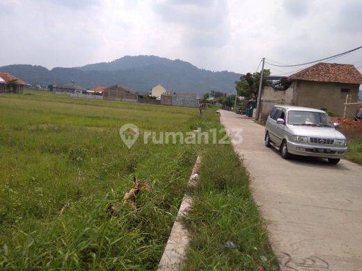 Tanah Super Murah Buat Hanya 170 Ribu Per Meter 1