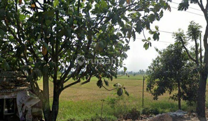 BU! Sawah aktif, mainroad, cocok untuk pabrik/gudang 1