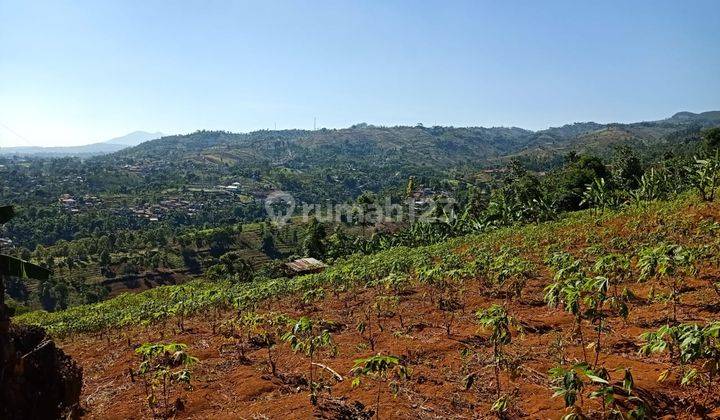 Dijual Tanah Kebun di Cimenyan Bandung, Cocok Untuk Villa, Cafe 1