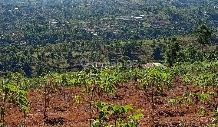 Dijual Tanah Kebun di Cimenyan Bandung, Cocok Untuk Villa, Cafe 2