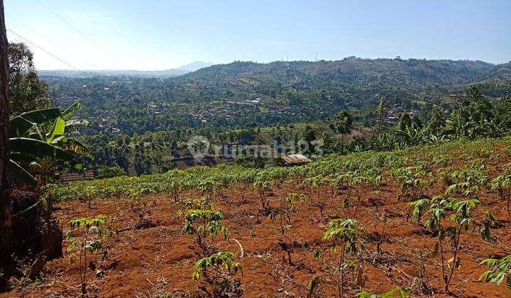 Dijual Tanah Kebun di Cimenyan Bandung, Cocok Untuk Villa, Cafe 2