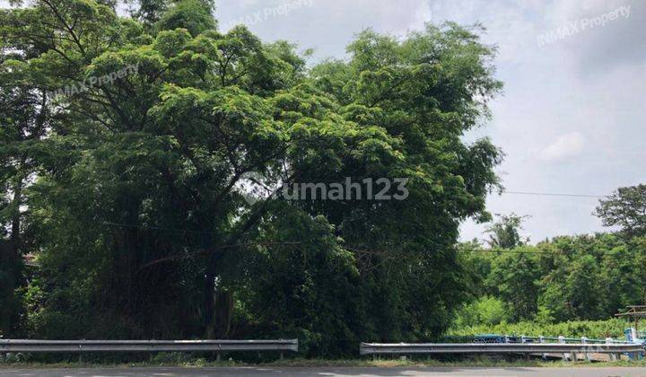 Tanah Murah Di 0 Jalan Raya Purwosari,  Dekat Indolakto &300M Utara Kebun Raya Purwodadi... Cocok Untuk Usaha Dan Investasi...Harga Nego Pemilik 1