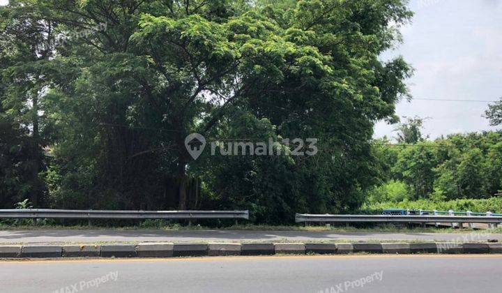 Tanah Murah Di 0 Jalan Raya Purwosari,  Dekat Indolakto &300M Utara Kebun Raya Purwodadi... Cocok Untuk Usaha Dan Investasi...Harga Nego Pemilik 2