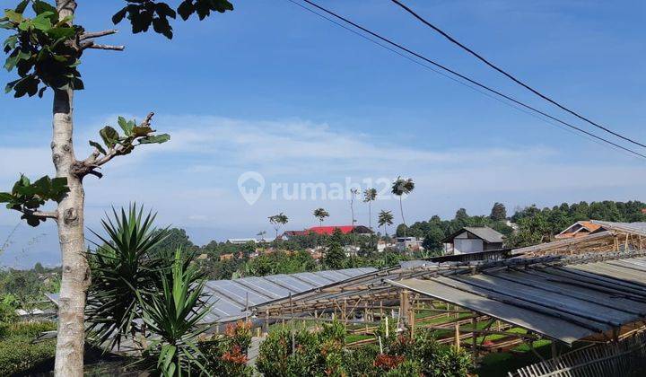 Tanah Luas Sebesar 1,1 Hektar 1